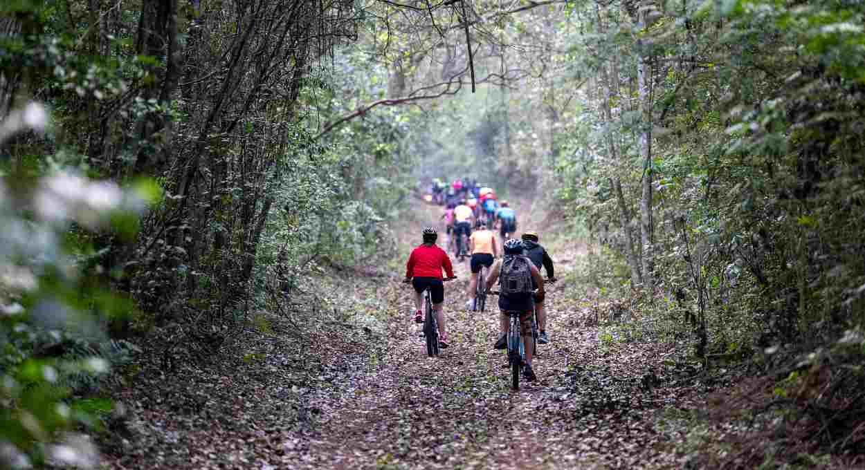 Itaipu celebra 42 anos de áreas protegidas e reforça seu compromisso com a biodiversidade