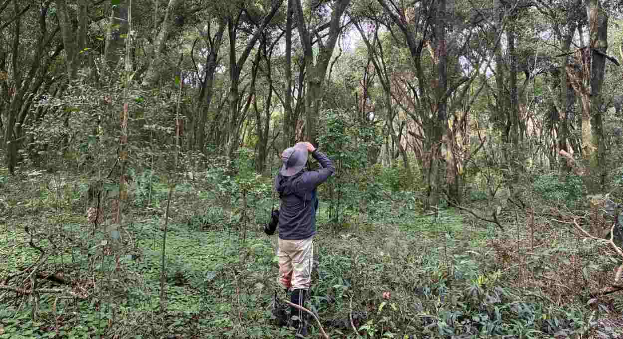 Da floresta à turbina: como a fauna ajuda a garantir água limpa em Itaipu