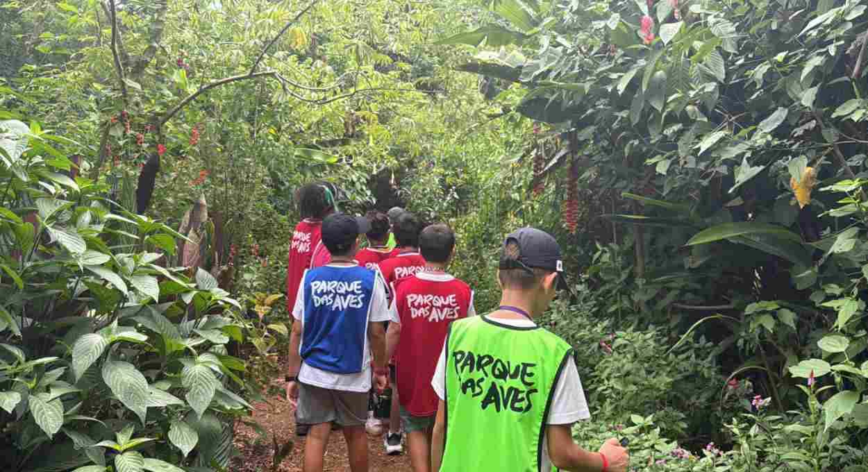 Parque das Aves abre inscrições para Colônia de Férias com experiência noturna