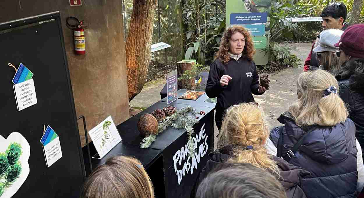 Parque das Aves celebra Dia Nacional da Araucária com exposição