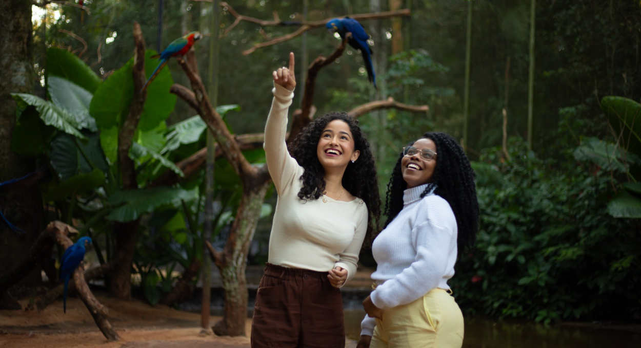 Parque das Aves: últimos dias de visita gratuita para os moradores