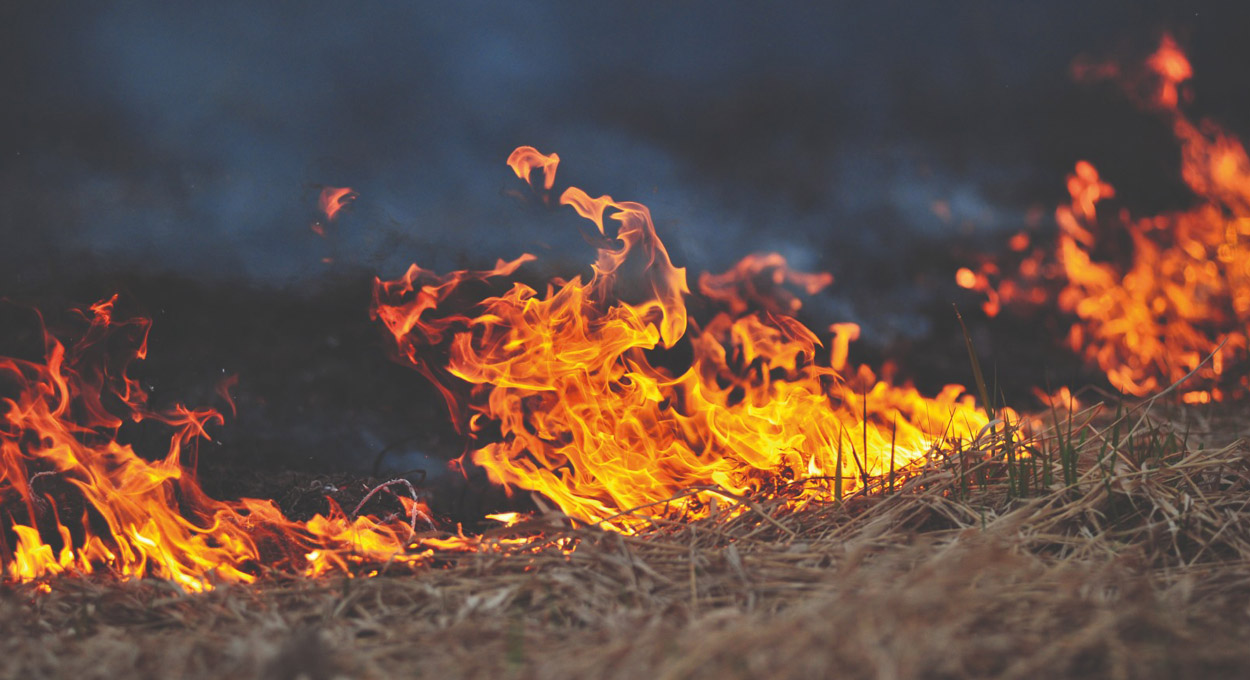 Seca reforça importância da prevenção aos incêndios no campo