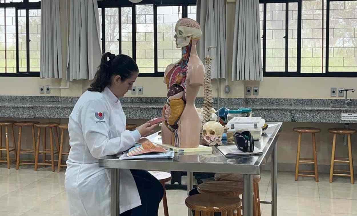 USP e Unioeste abrem inscrições para doutorado em enfermagem