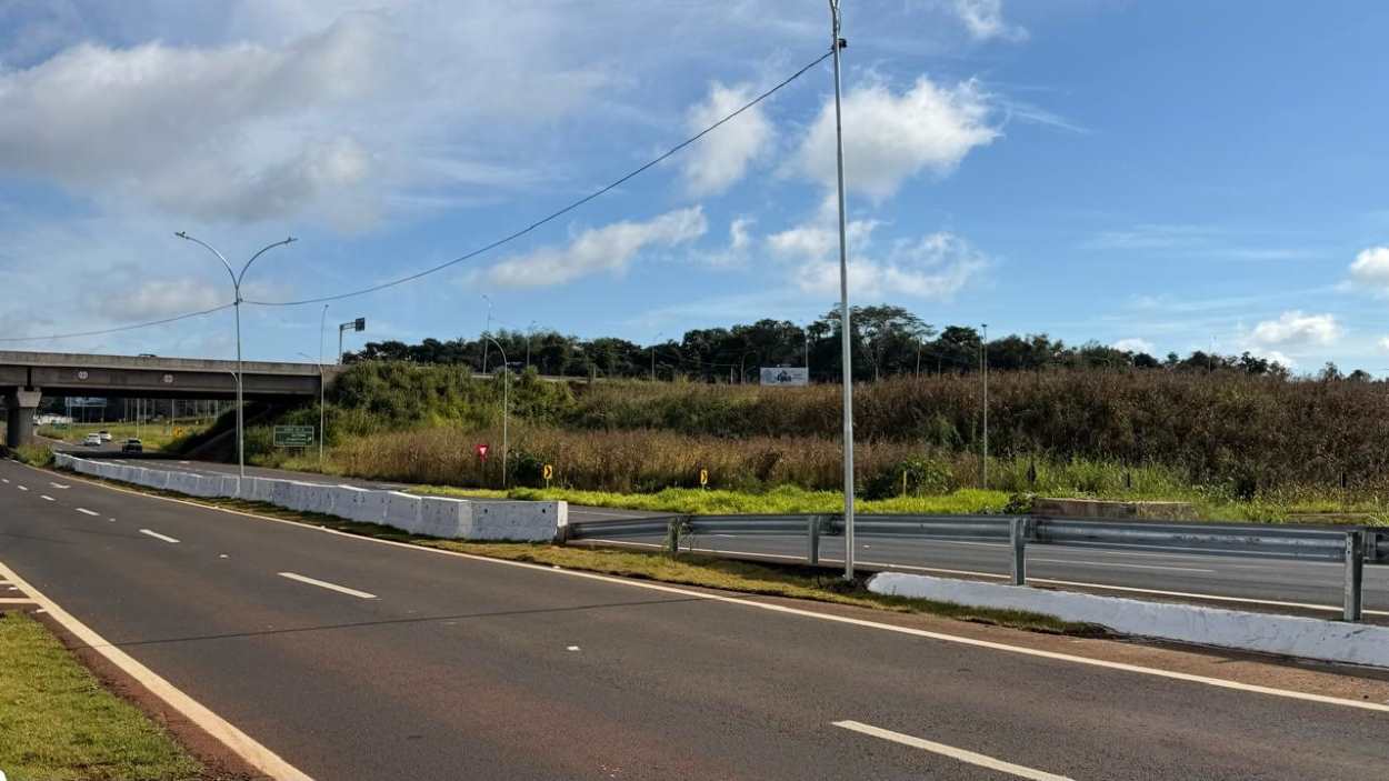 Perimetral Leste: matagal às margens da rodovia começa a ser roçado