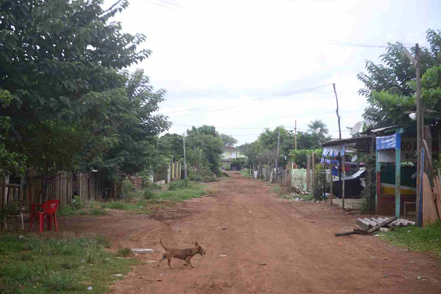 Cachorro atravessa rua de terra em bairro periférico