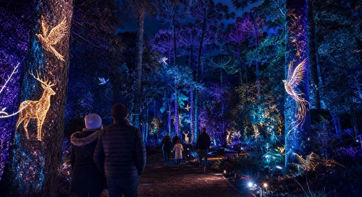 Curitiba vive temporada de inverno com atrações para toda a família até agosto