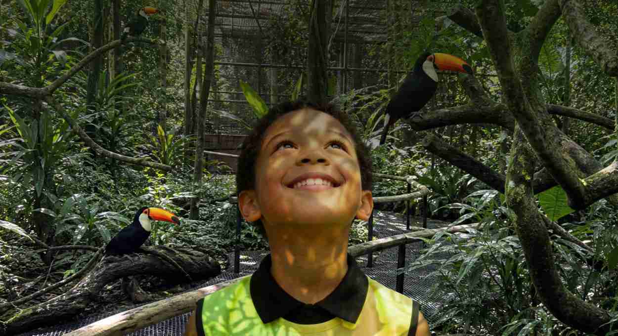 Última semana para garantir vaga na Colônia de Férias do Parque das Aves