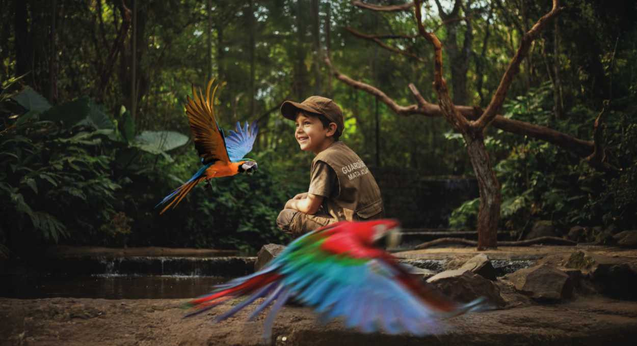 Parque das Aves abre inscrições para Clubinho Guardiões da Mata Atlântica