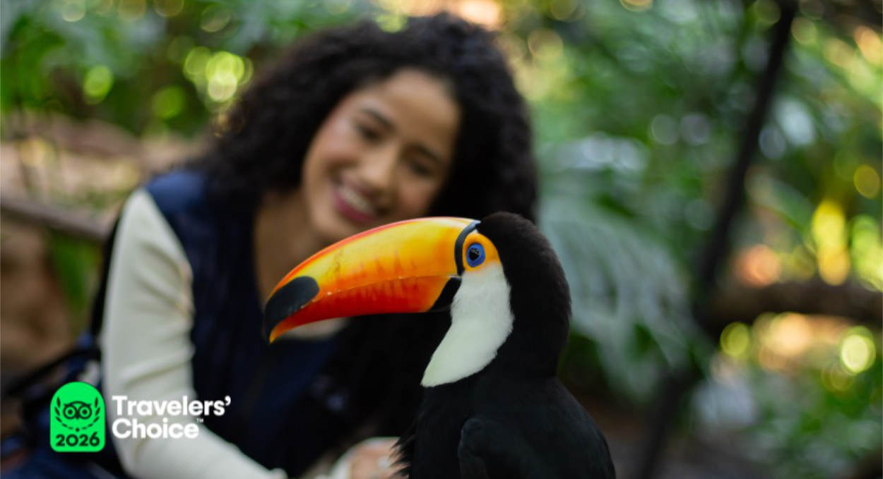 Parque das Aves conquista selo Travellers’ Choice 2026