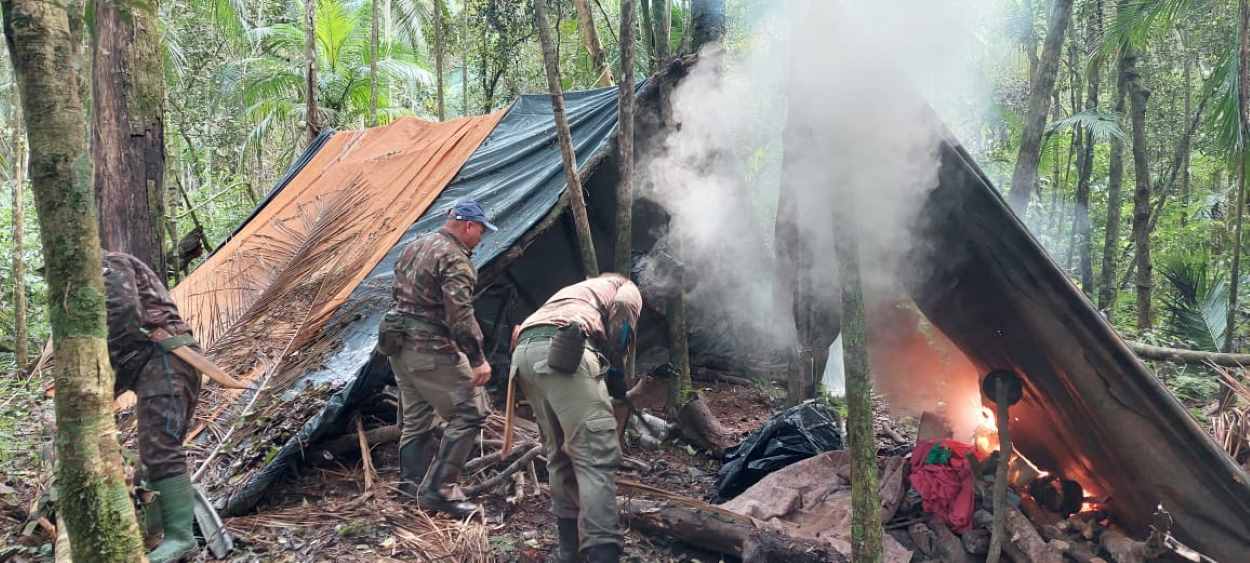 Caça avança para as bordas do Parque Nacional do Iguaçu, aponta monitoramento