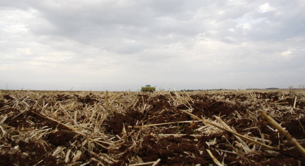 Sistema FAEP promove série de Dias de Campo sobre solo