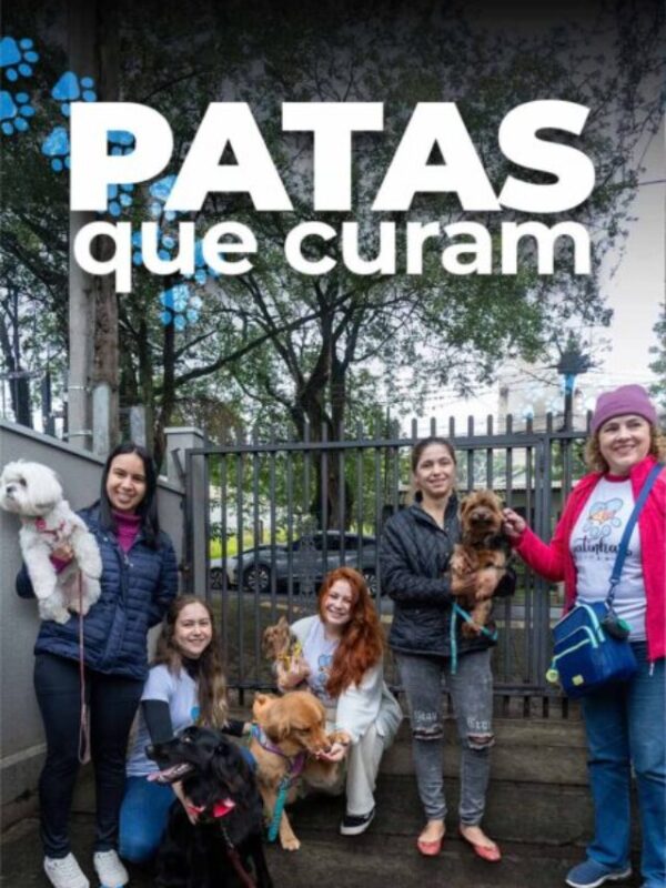 Cães-terapeutas espalham amor por Foz do Iguaçu