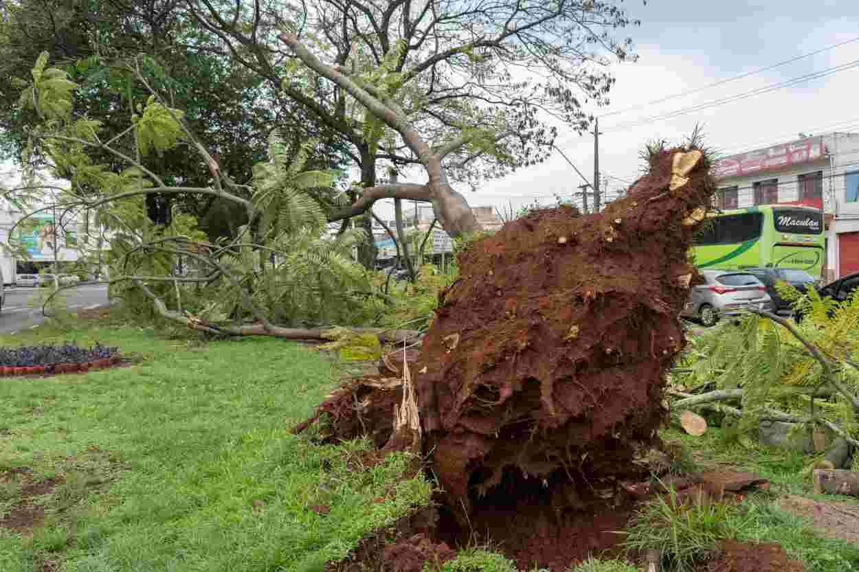 El Niño: Foz treina equipes para atuação em ocorrências climáticas extremas