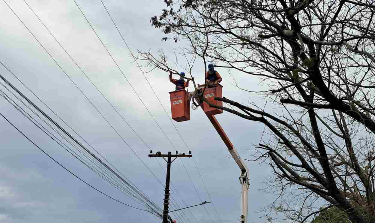 Mutirão de poda preventiva busca reduzir quedas de energia em Foz