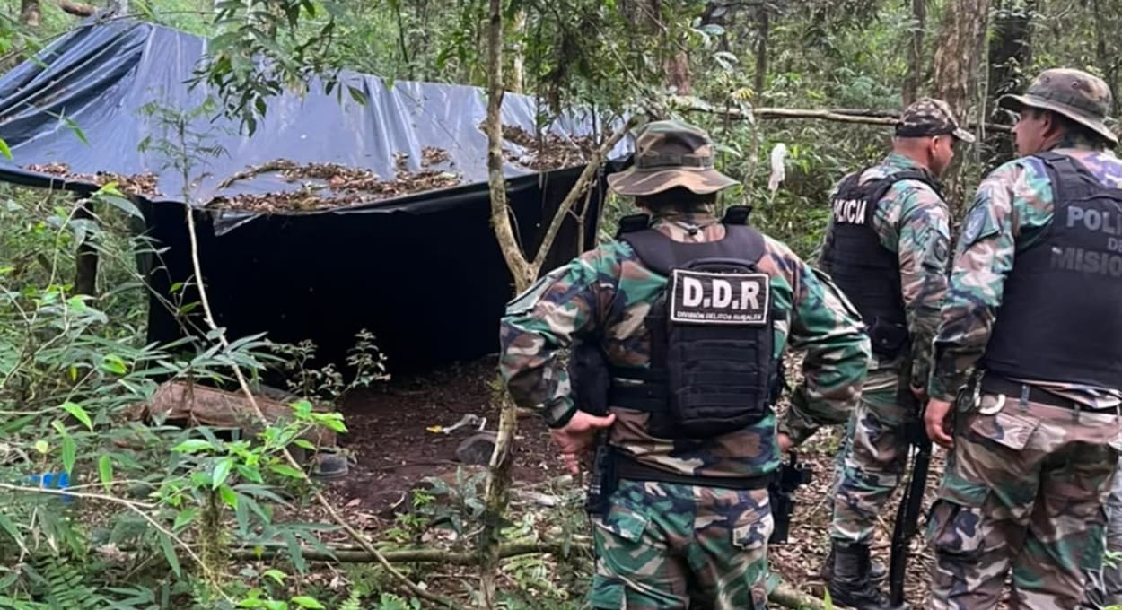 Argentina desmonta acampamentos de caçadores em meio à mata