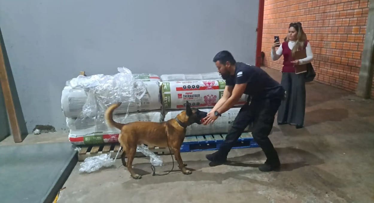 Paraguai investiga brasileiro por carga de “maconha premium”