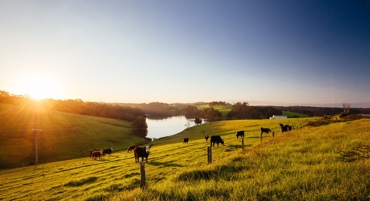 Mudança no licenciamento ambiental impacta produção agrícola e pecuária