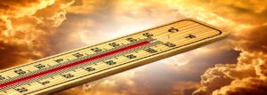 Coentro, uva-passa e calor: nem tudo é questão de gosto