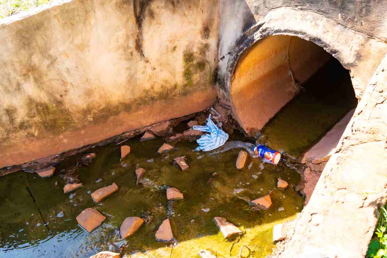 Efeito El Niño: Foz alerta para risco de alta da dengue e chikungunya
