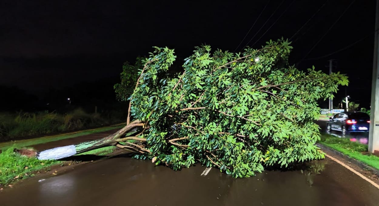Temporal em Foz do Iguaçu tem granizo e queda de árvores