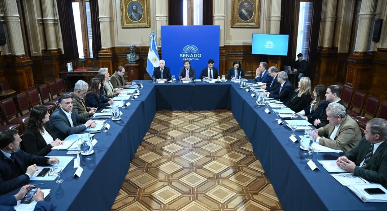 Filas na fronteira: saiba como foi a audiência no Senado da Argentina