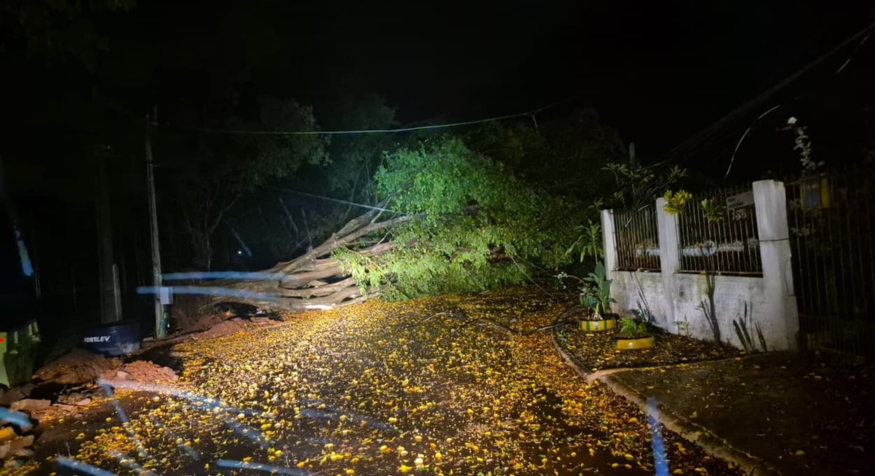 Temporal derruba árvores e postes em Foz do Iguaçu e região