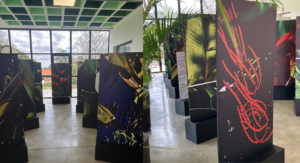 Quando a floresta vira arte para continuar viva