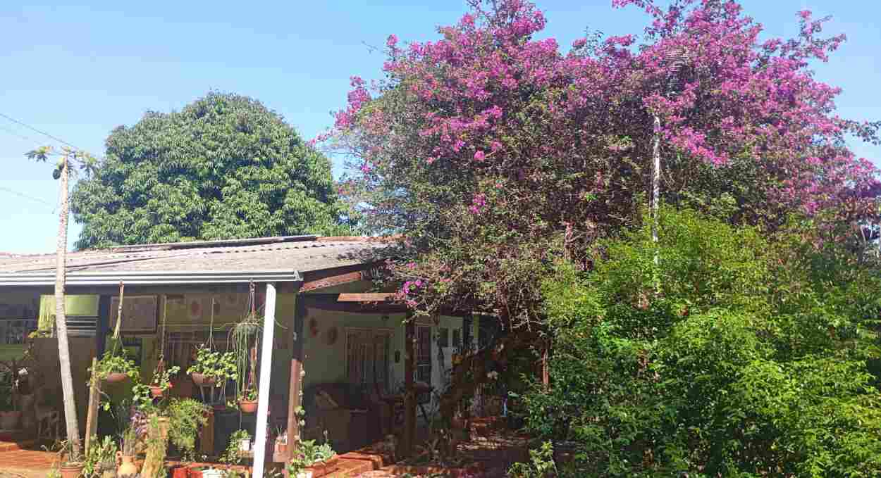 Sarau Sopro de Sol celebra a primavera neste sábado (19) em Foz do Iguaçu