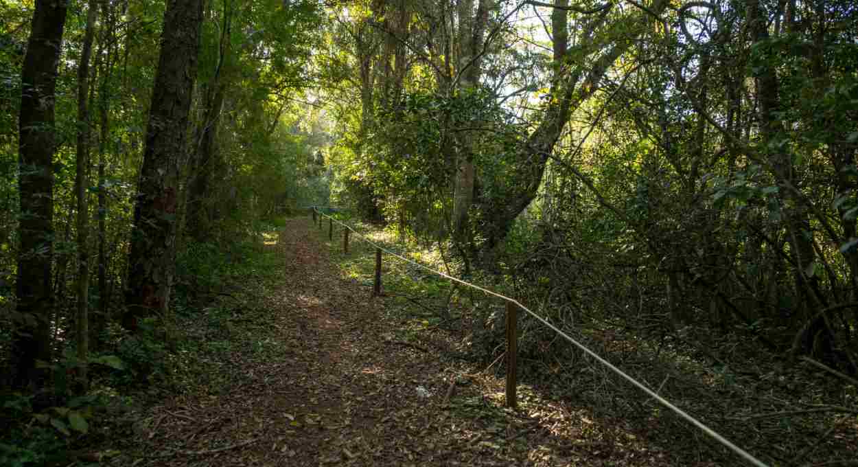 Monitoramento de fauna fecha duas trilhas no Parque Nacional do Iguaçu