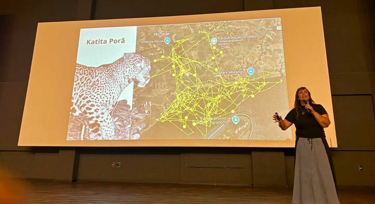 Parque Nacional do Iguaçu sedia simpósio sobre convivência entre humanos e fauna