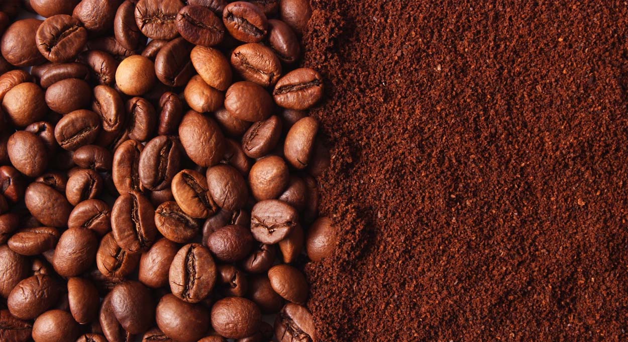 Com apoio do Sistema FAEP, Concurso Café Qualidade Paraná 2026 abre inscrições
