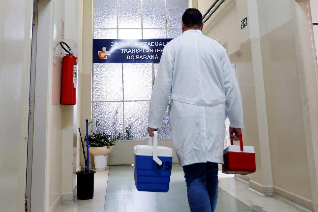 Conscientização reforça importância da doação de órgãos no Paraná