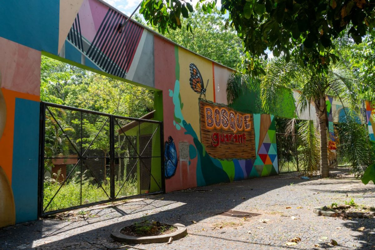 Bosque Guarani receberá iluminação e melhorias, anuncia prefeitura