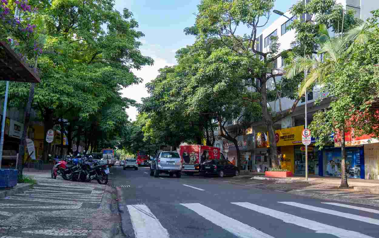 Avenida Brasil terá poda de árvores em novembro, anuncia prefeitura