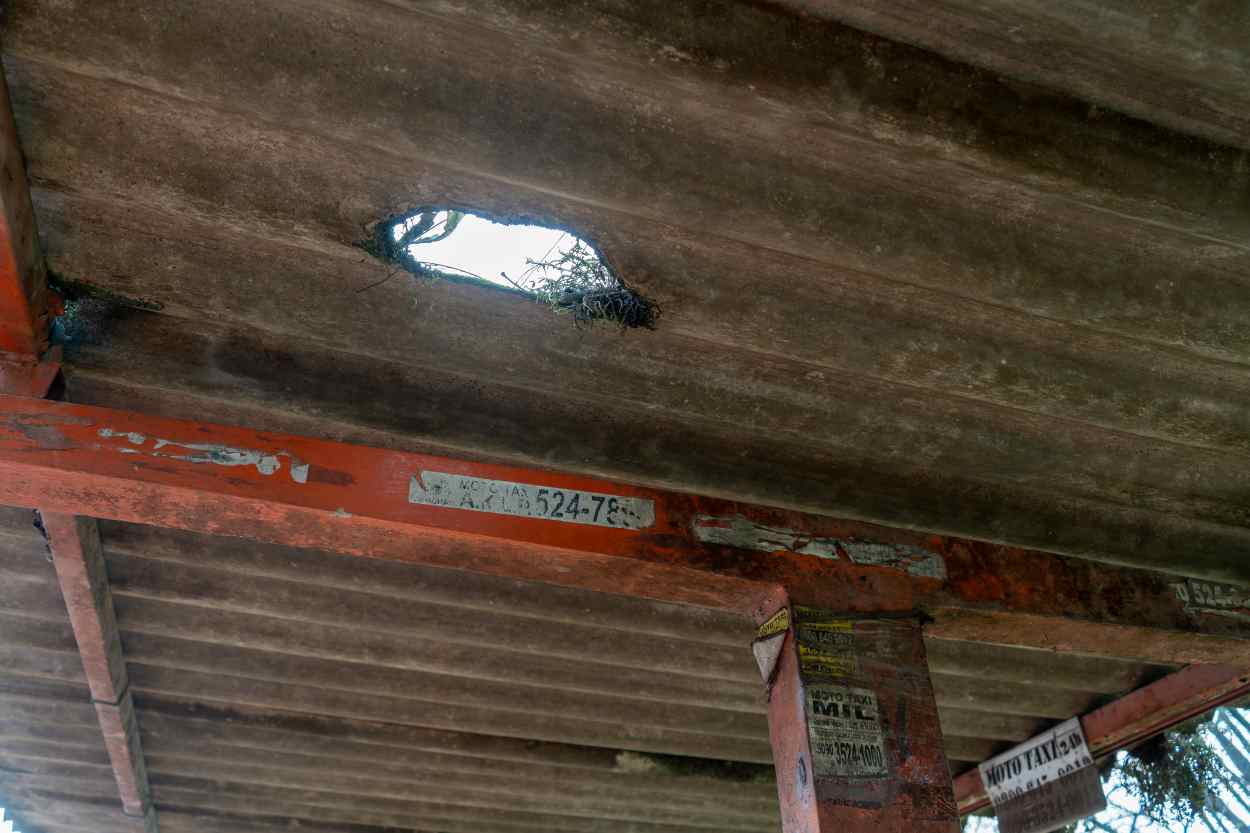 Sob Silva e Luna, subsídio ao transporte coletivo deve somar R$ 44,8 milhões em 2026